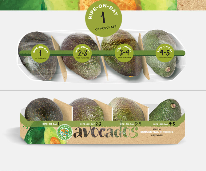 AVOCADO-BOAT 2-new