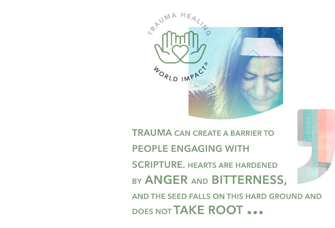 world-impact-brand-refresh-5-story-bundles-2